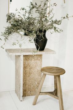 an olive tree in a vase on top of a marble table next to a stool