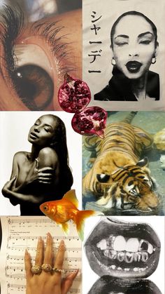 collage of various images with woman's face, goldfish and other items