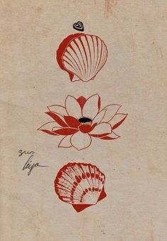 three seashells are depicted on an old paper