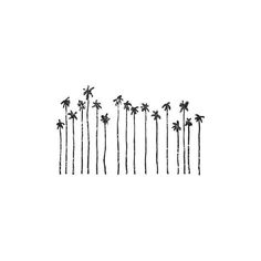 a line of palm trees on a white background with the words,'i love this place