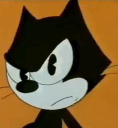 an animated image of a black and white cat with eyes wide open, looking to the side