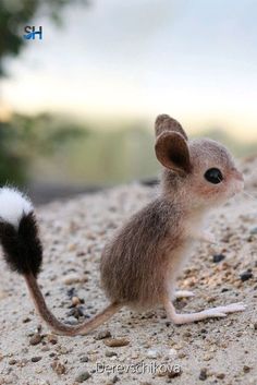 a tiny mouse sitting on top of a sandy ground