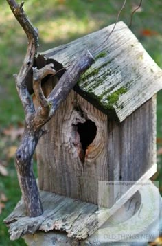 Homemade Bird Houses Diy, Bird Feeders Craft, Natural Birdhouse, Wood Projects Outdoor, Bird Feeders Diy, Tattoos Birds, Wood Projects For The Home, Bird House Plans Free, Birdhouse Projects