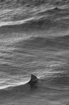 a man riding a wave on top of a surfboard in the middle of the ocean