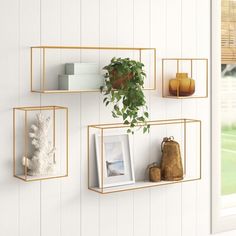 three gold metal shelvings with plants and pictures on the wall next to them