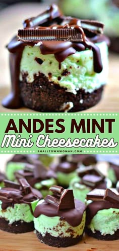 mini cheesecakes with mint and chocolate frosting