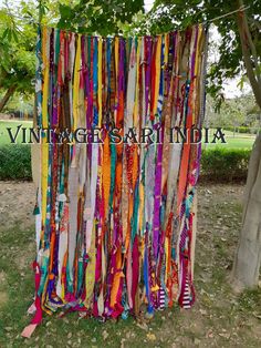 colorful ribbons are hanging from a tree in the park