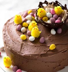 a chocolate cake decorated with small chicks and eggs