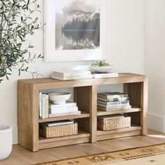 a living room with a plant and some books on the shelf in front of it