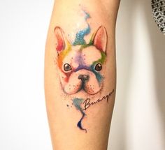 a dog is shown with the word boston on it's left leg, and an image of a french bulldog