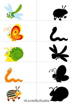 the different types of bugs and insects are shown on this page, which shows how to draw