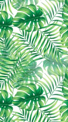 green palm leaves on white background with light reflection in the center, seamless pattern