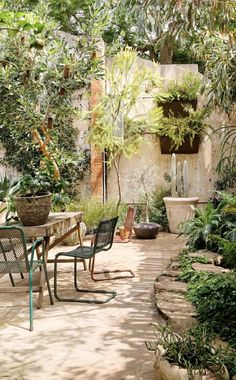 an outdoor dining area with lots of plants