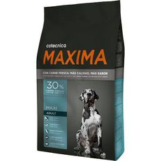 an image of a dog sitting in front of a bag of maxima puppy food