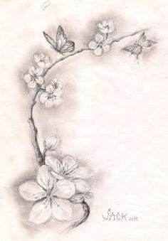 a drawing of a branch with flowers on it