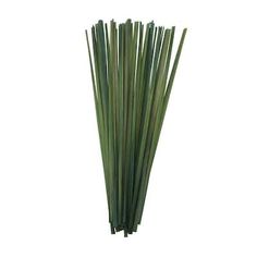 green grass sticks are arranged on a white background