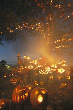 many pumpkins are lit up in the night with lights on them, and there is no image here to provide a caption for