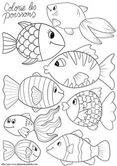 an adult coloring page with different types of fish