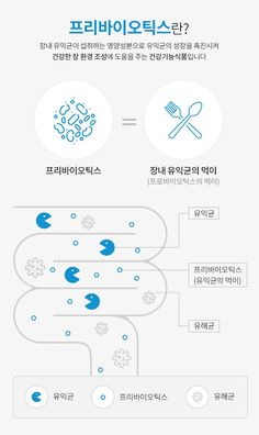 an info sheet showing the different types of items in each language, and how to use them