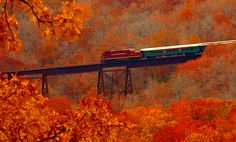 a train traveling over a bridge surrounded by fall colored trees in the background with orange leaves