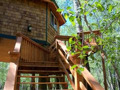 a wooden staircase leading up to a cabin in the woods