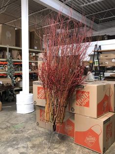 some red stems are sitting on boxes in a warehouse