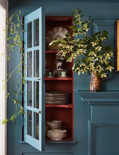 a blue cabinet with plates and plants in it