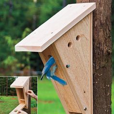 a blue bird sitting on top of a wooden bird house