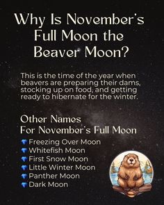 November's Full Moon encourages grounding, stability, and introspection. Dive into activities like gratitude lists, protection spells, and letting go of what no longer serves you. #BeaverMoon #MoonMagic #FullMoonEnergy November Full Moon, Gratitude List