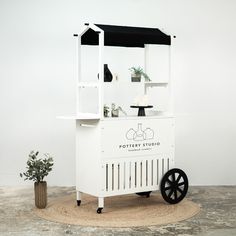 an ice cream cart sitting on top of a rug next to a potted plant