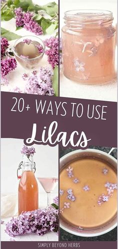 the cover of 20 ways to use lilacs, with images of flowers and jars