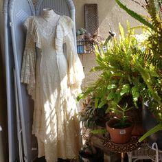 two dresses are hanging on a rack next to plants and potted plants in front of a house