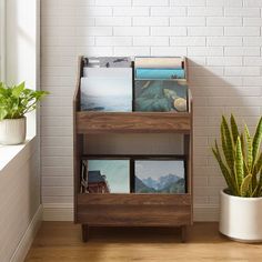 a wooden shelf with pictures and a potted plant on the floor next to it