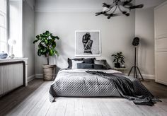 a bedroom with a bed, plant and pictures hanging on the wall in front of it