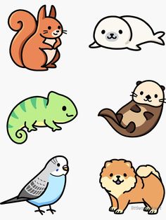 an image of different animals with speech bubbles