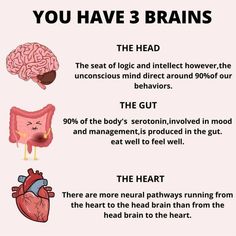 Brain Tips, Memory Retention, Heart Brain, Gut Brain, Boost Memory, Mind Heart