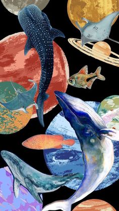 an image of dolphins and other animals in the sky with planets around them on a black background