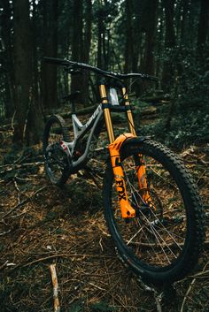 an orange and black mountain bike parked in the woods