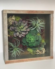 an arrangement of succulents in a wooden frame