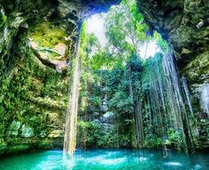 a waterfall in the middle of a pool surrounded by trees