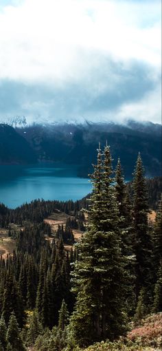 a scenic view of a lake surrounded by pine trees and snow capped mountains in the distance