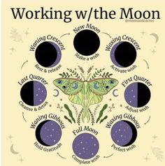 Moon Manifesting, Moon Sisters, Lunar Witch, The Cauldron, New Moon Rituals, Eclectic Witch, Magick Book, Witch Spell Book