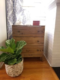 a potted plant sitting on top of a wooden table next to a dresser and window