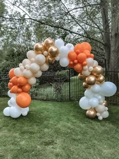 an arch made out of balloons on the grass in front of a fence and trees