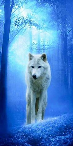 a white wolf standing in the middle of a forest filled with trees and blue fog