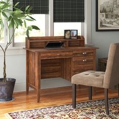 a desk with a chair and a potted plant in front of it on a rug