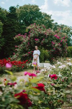 a woman standing in the middle of a garden filled with pink and white flowers, surrounded by greenery