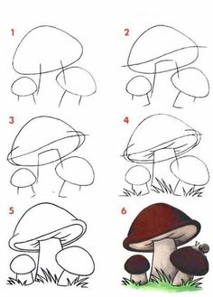 step by step drawing instructions for children to learn how to draw mushrooms