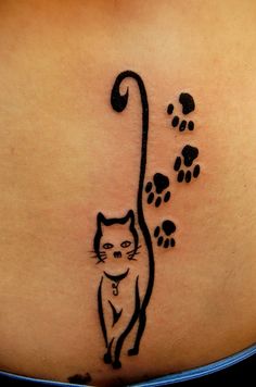 a cat with paw prints on it's stomach