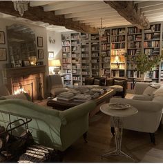 a living room filled with lots of furniture next to a fire place in a library